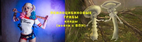 твердый Нефтегорск