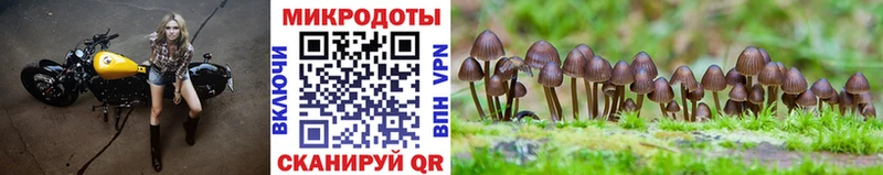 Галлюциногенные грибы мицелий  магазин  наркотиков  OMG ТОР  Златоуст 